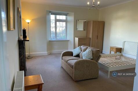 Large Living Room/Bedroom