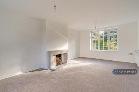 Working Fireplace