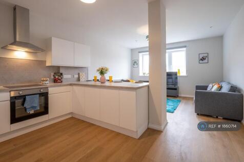Kitchen/Living/Dinning 