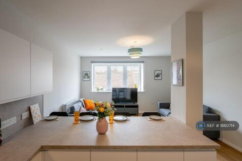 Kitchen/Living/Dinning 