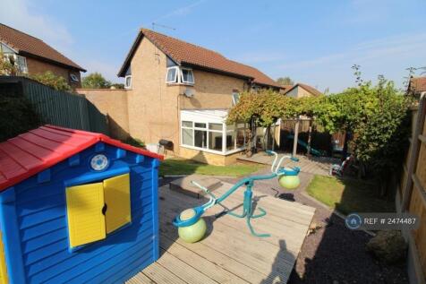 Back Garden