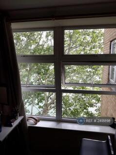 Living Room Window Views