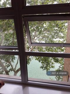Living Room Window Views