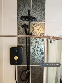Electric Shower
