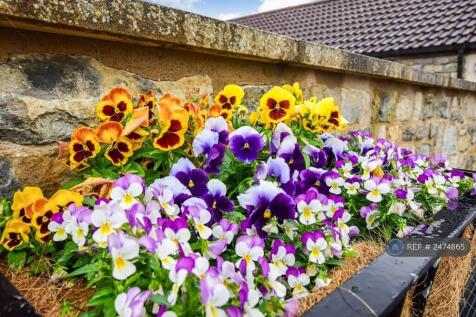 Property Image 39
