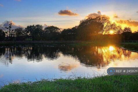 Sunset At Edenbrook