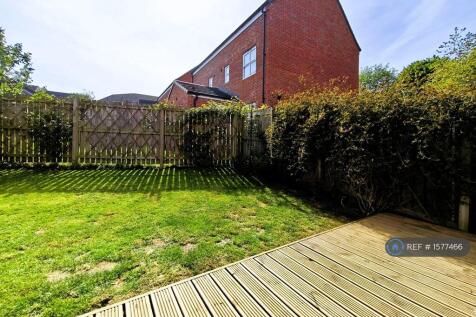 Back Garden 2