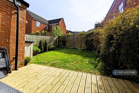 Back Garden 3