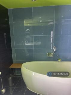 Designer Bathroom