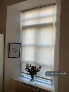 Large Windows - Natural Light
