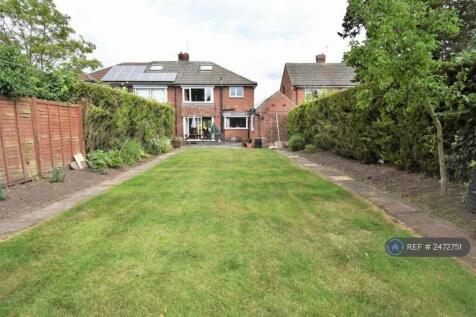 Back Garden