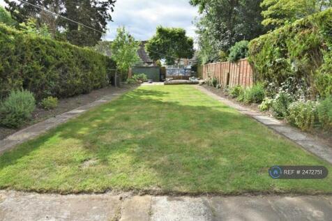 Back Garden