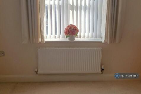 Central Heating Radiator