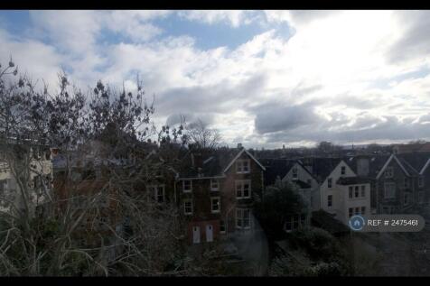 View From Back Bedroom And Living Room