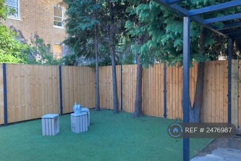 Back Garden