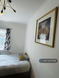 Double Room For £800 Pcm 