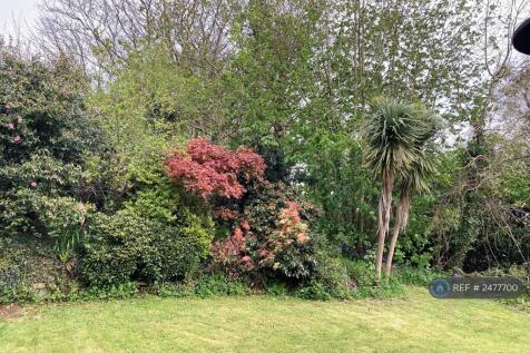 Well Established Garden