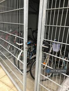 Bike Shed