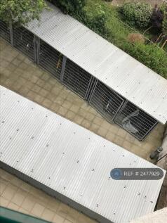 Bike Shed