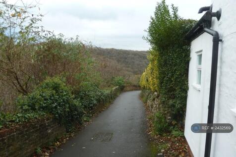 View Down Lane
