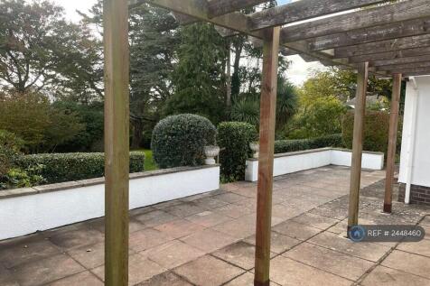 Rear Patio