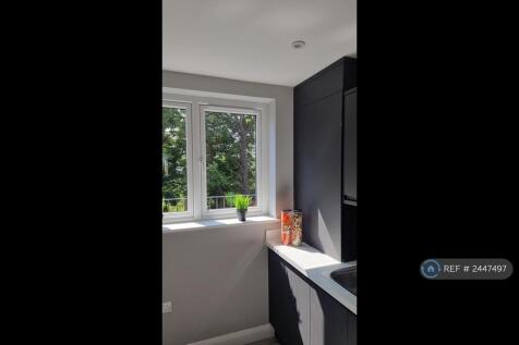 View From Kitchen 