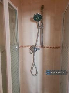 Downstairs Shower