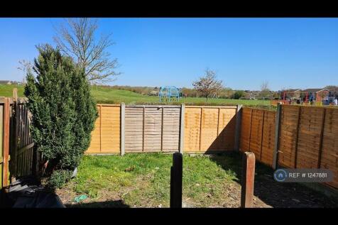 Back Garden