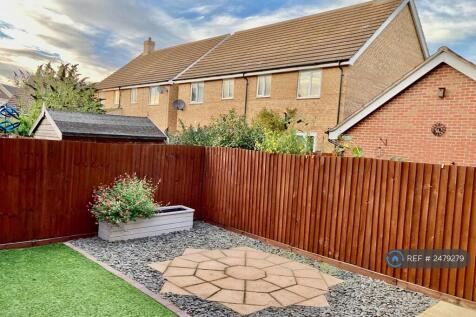 Backgarden Main