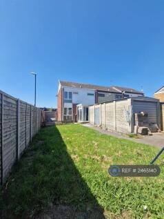 Back Garden