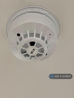Smoke/Heat Detector