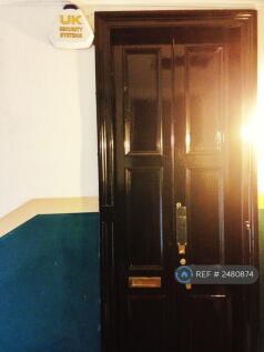 Storm Doors