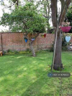 Shared Garden
