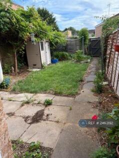 Back Garden With Shed