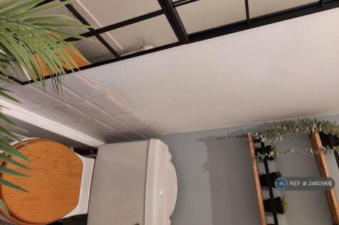 Downstairs Loo