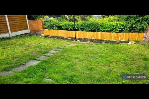 Back Garden