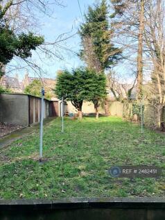 Back Garden