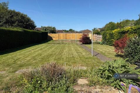 Back Garden