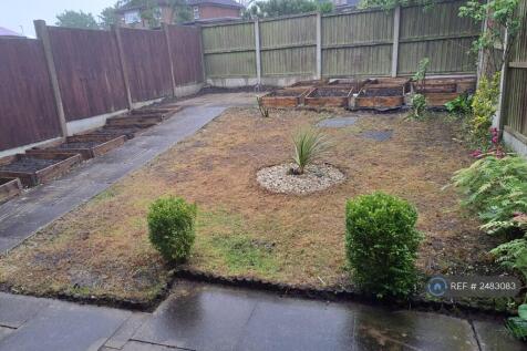 Backyard Garden