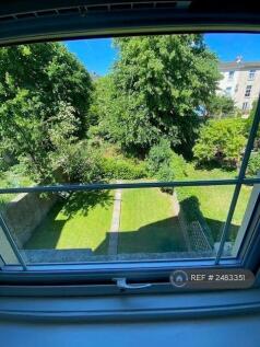View From Window