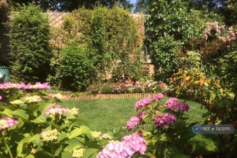 Private Garden In Full Bloom Last Summer.