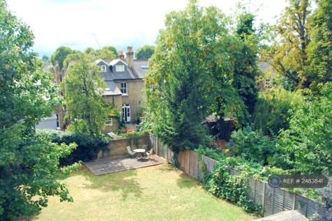 Sunny And Quite Shared Garden