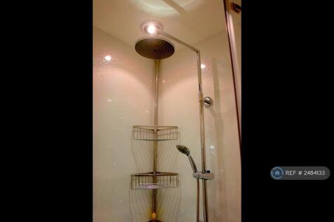 Powerful Twin Shower Heads
