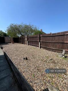 Back Garden