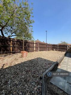 Back Garden