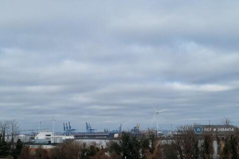 Great Views 