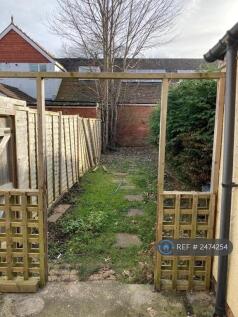 Back Garden