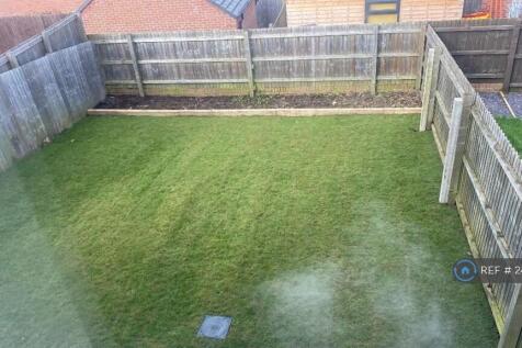 Garden New Turf Just Been Layed