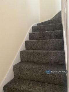 Stairs New Carpet Just Been Fitted