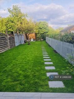 Back Garden 